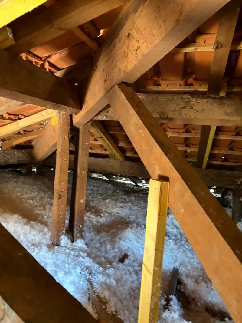 Charpente traditionnelle en bois et isolation intérieure sous toiture